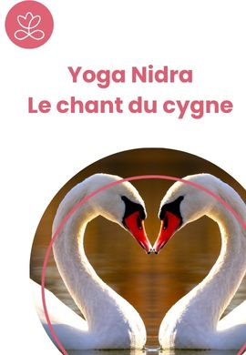 Yoga Nidra - Le chant du cygne